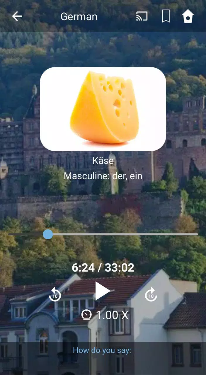 Learn German. Speak German. St Screenshots