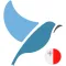 Bluebird: Learn Maltese