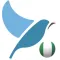 Bluebird: Learn Yoruba