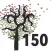 Montclair 150th Anniversary