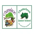 Chameleon School Group