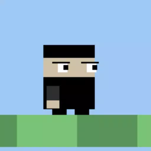 Ninja - blocks on the way! Ninja - blocks on the way!