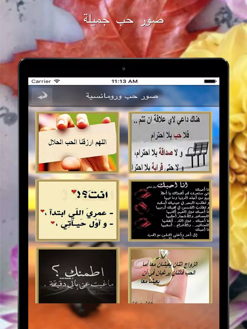 صور حب رومانسية جميلة iPad Screenshots
