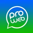 Pro Web - Web Scanner, Full DP