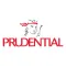 Prudential IR for iPhone