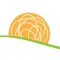 Rising Sun Physical Therapy