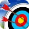 Archer Match Arrow Cup