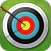 Archer Winner 3D Game
