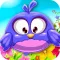 Birds Wonderland Adventure