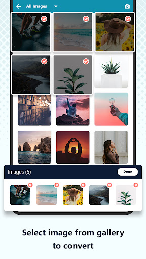 Image Converter - JPG/PNG/PDF Screenshots