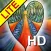 Angel Heart HD LITE Oracle Cards - Seraphina Elvenstone
