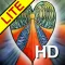 Angel Heart HD LITE Oracle Cards - Seraphina Elvenstone