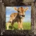 Farm Animals Name and Sound