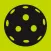 Pickleball Pro