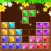 Wood Block Master - Brain Game