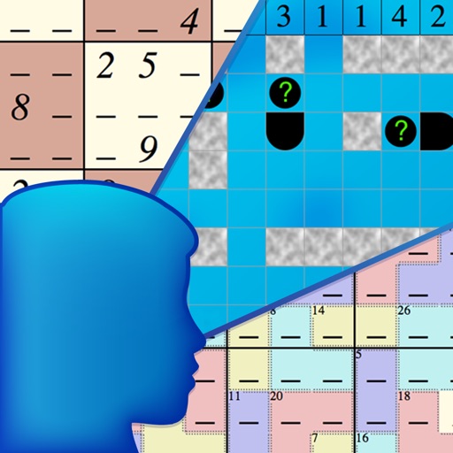 Not Just Sudoku Not Just Sudoku