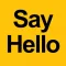 Say Hello Say Bye