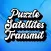 Puzzle Satellites Transmit