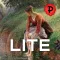 Puzzlix Pissarro LITE