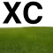 XC Scoring