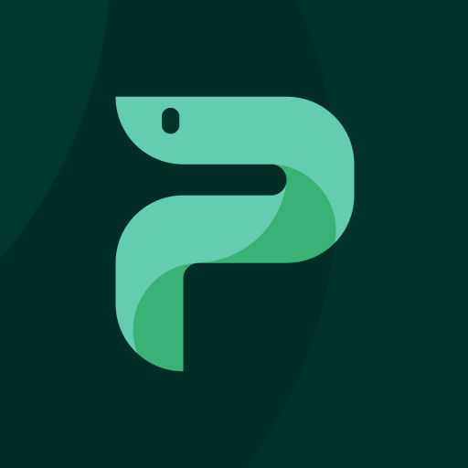 Python Master Python Master