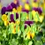 Tienda online de flores