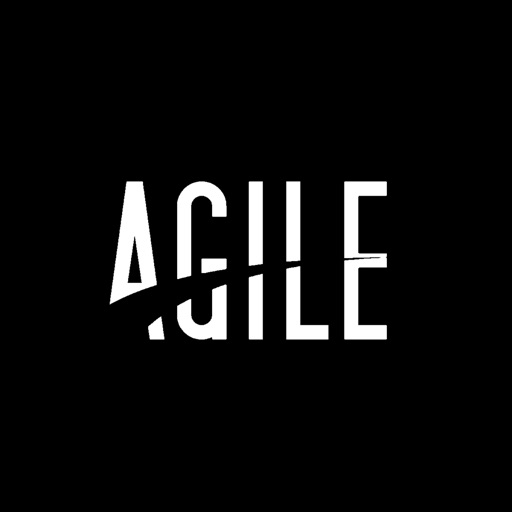Agile Digitalization Process Agile Digitalization Process