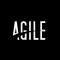 Agile Digitalization Process