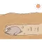 Life of Sad Groundhog Sticker