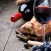 Bordeaux Wines