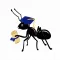 Ant Colony Stickers