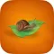 Slow Food. Tour Aragón