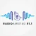 Radio Amistad 91.1