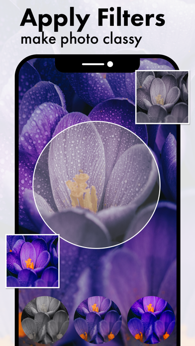 Purple Flower Photo Frames Screenshots
