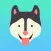 Dog HD Wallpaper