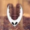 Hollow Quiz Knight