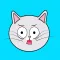 Lovely cat face