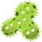 Clean Bacteria