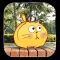 Frank the Cat - animated stickers pack