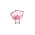 Nero piglet animated stickers pack