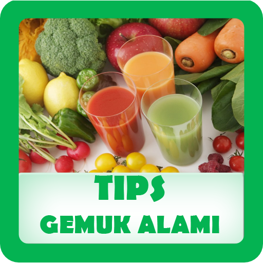 Tips Gemuk Alami Tips Gemuk Alami