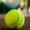 Toonie Tennis