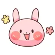 Rabbit is own pace