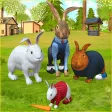 Cute Rabbit Family Adventure