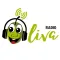Radio Oliva