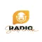 Radio Sedrenik