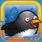 Splashy Penguin