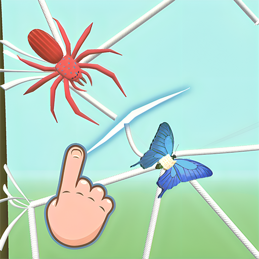 Spider Web Puzzle 3D