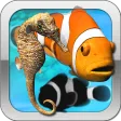 Fish Farm
