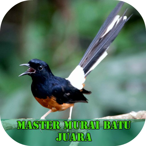 Master Murai Batu Juara